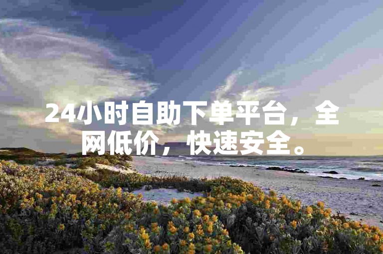 24小时自助下单平台，全网低价，快速安全。