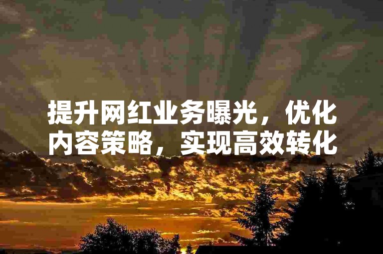 提升网红业务曝光，优化内容策略，实现高效转化。