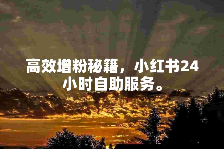 高效增粉秘籍，小红书24小时自助服务。