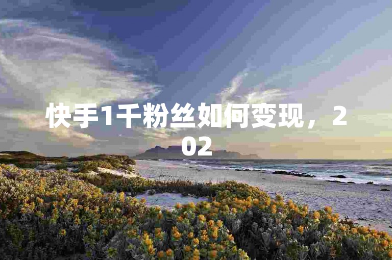 快手1千粉丝如何变现，2025年必学赚钱秘籍！