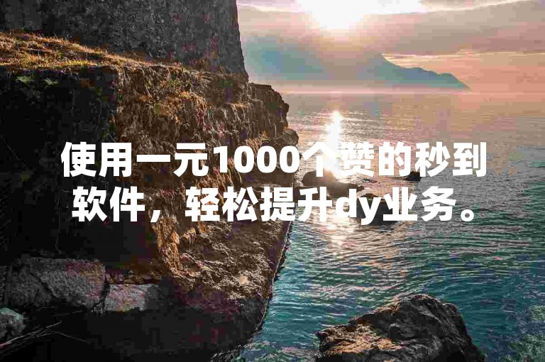 使用一元1000个赞的秒到软件，轻松提升dy业务。