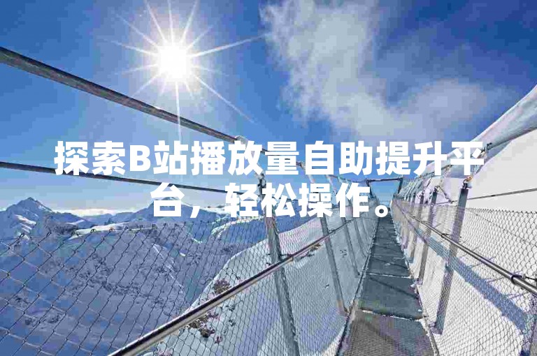 探索B站播放量自助提升平台，轻松操作。