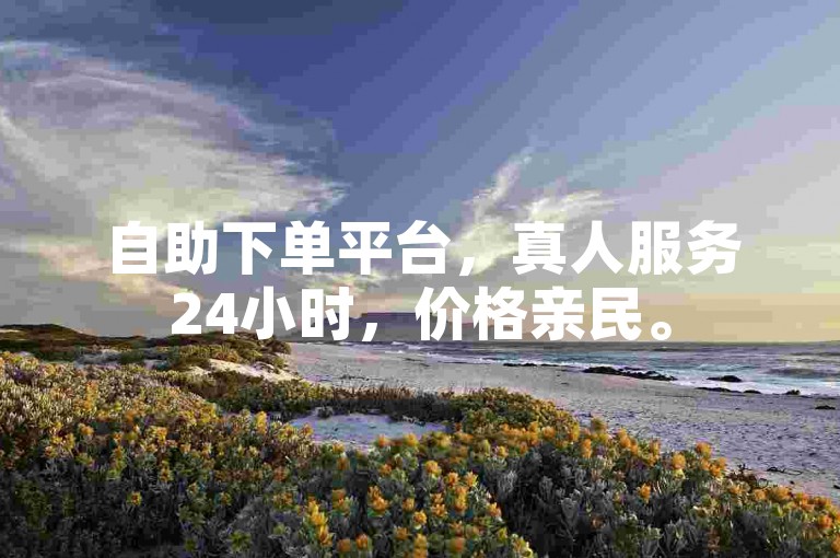 自助下单平台，真人服务24小时，价格亲民。