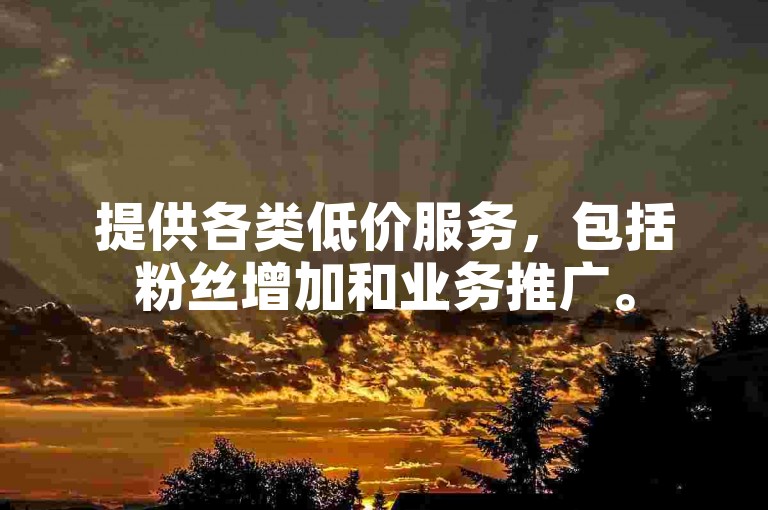 提供各类低价服务，包括粉丝增加和业务推广。