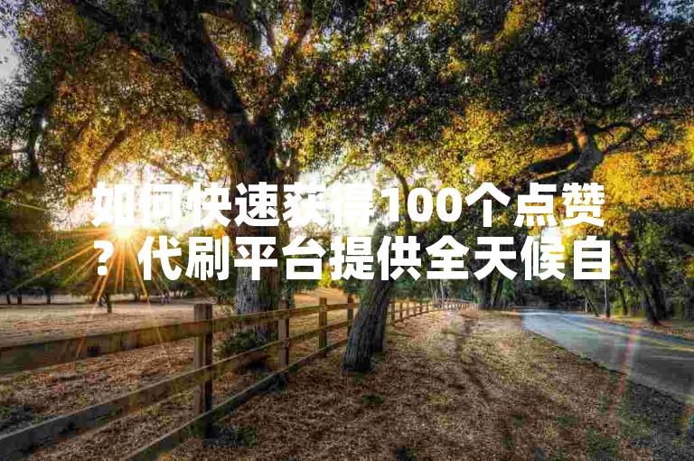 如何快速获得100个点赞？代刷平台提供全天候自助服务。