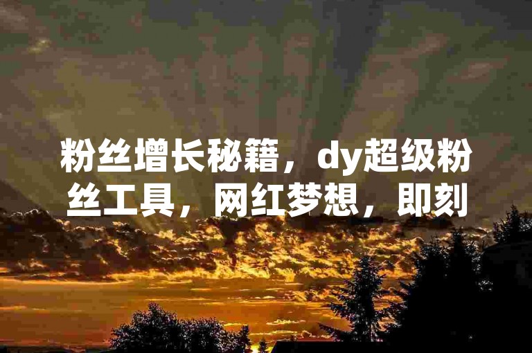 粉丝增长秘籍，dy超级粉丝工具，网红梦想，即刻启程！
