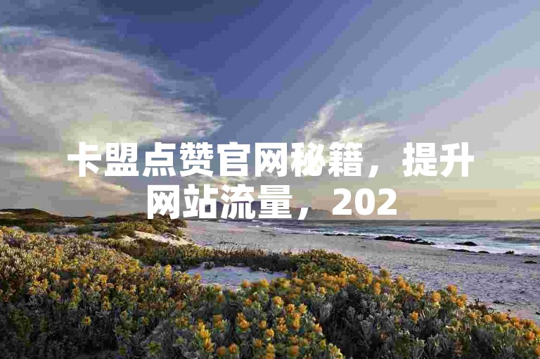卡盟点赞官网秘籍，提升网站流量，2025必备技巧！