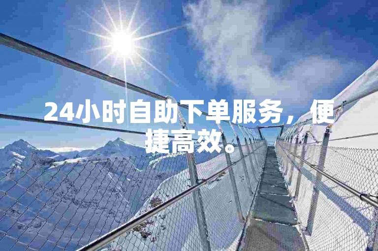 24小时自助下单服务，便捷高效。