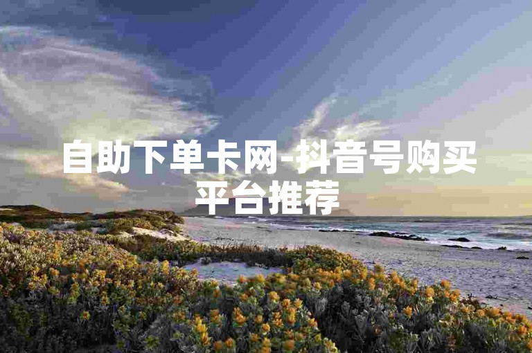 自助下单卡网-抖音号购买平台推荐