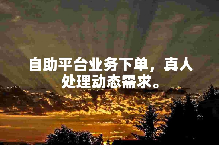 自助平台业务下单，真人处理动态需求。