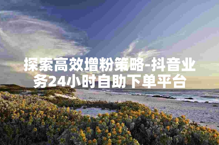 探索高效增粉策略-抖音业务24小时自助下单平台