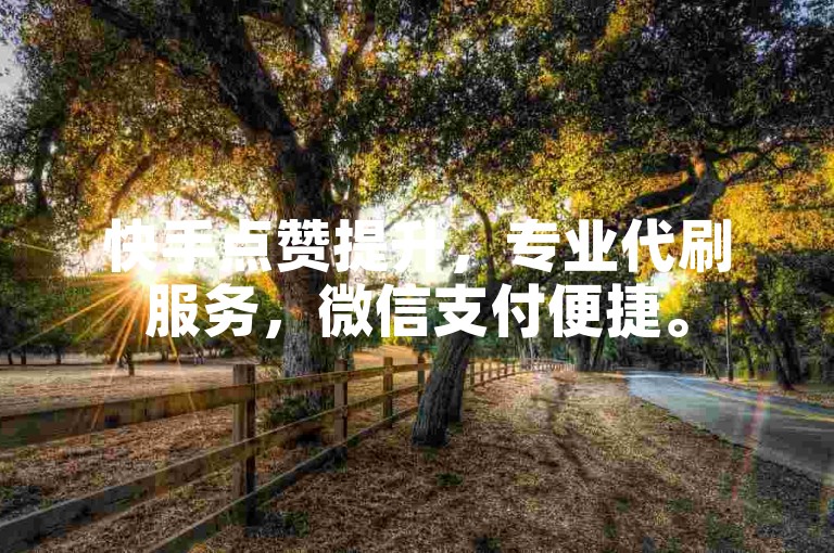 快手点赞提升，专业代刷服务，微信支付便捷。