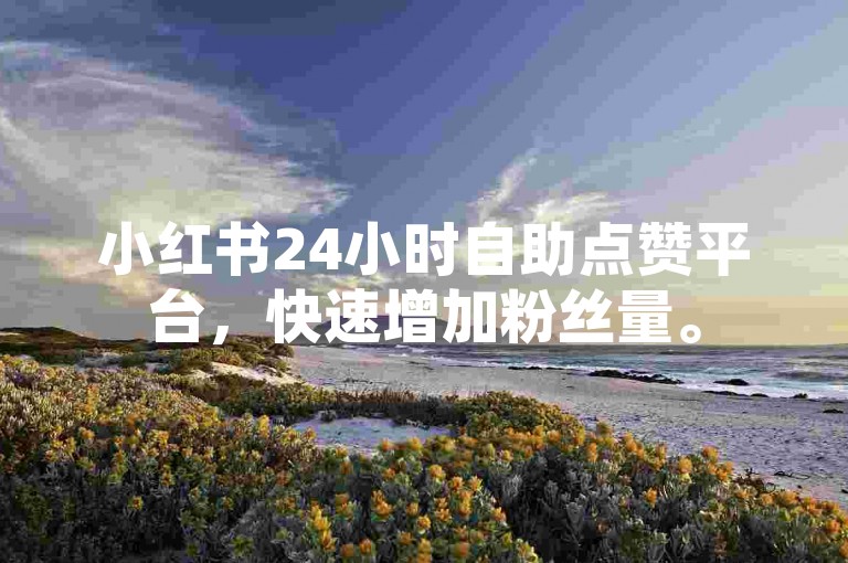 小红书24小时自助点赞平台，快速增加粉丝量。