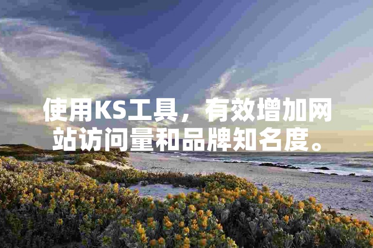 使用KS工具，有效增加网站访问量和品牌知名度。