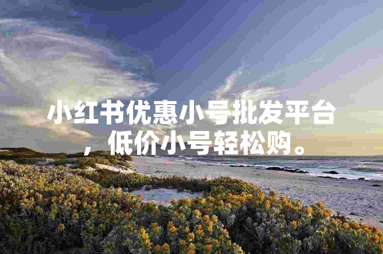 小红书优惠小号批发平台，低价小号轻松购。