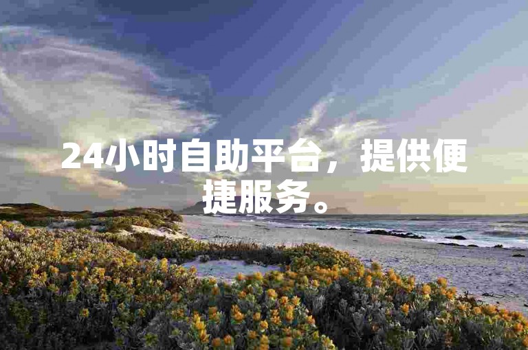 24小时自助平台，提供便捷服务。