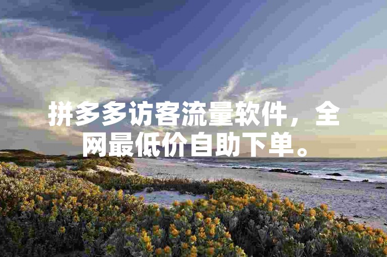 拼多多访客流量软件，全网最低价自助下单。