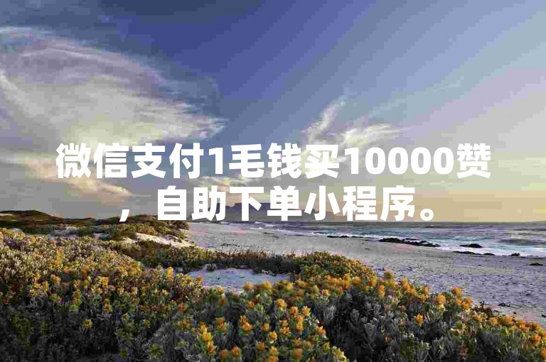 微信支付1毛钱买10000赞，自助下单小程序。