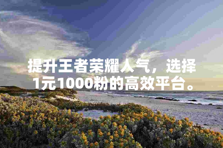 提升王者荣耀人气，选择1元1000粉的高效平台。