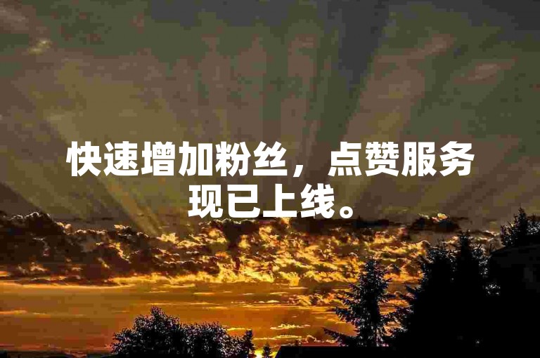 快速增加粉丝，点赞服务现已上线。