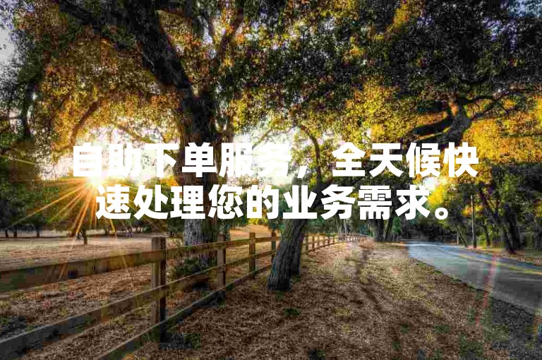 自助下单服务，全天候快速处理您的业务需求。