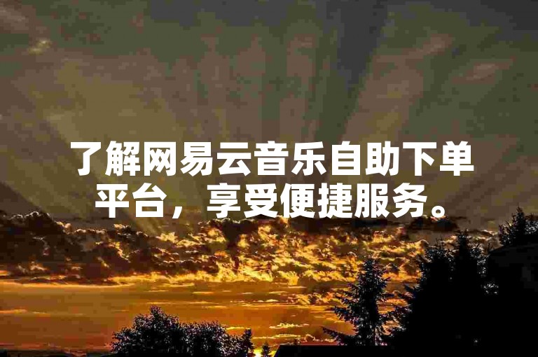 了解网易云音乐自助下单平台，享受便捷服务。