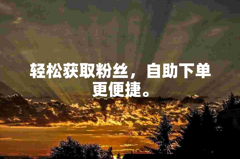 轻松获取粉丝，自助下单更便捷。