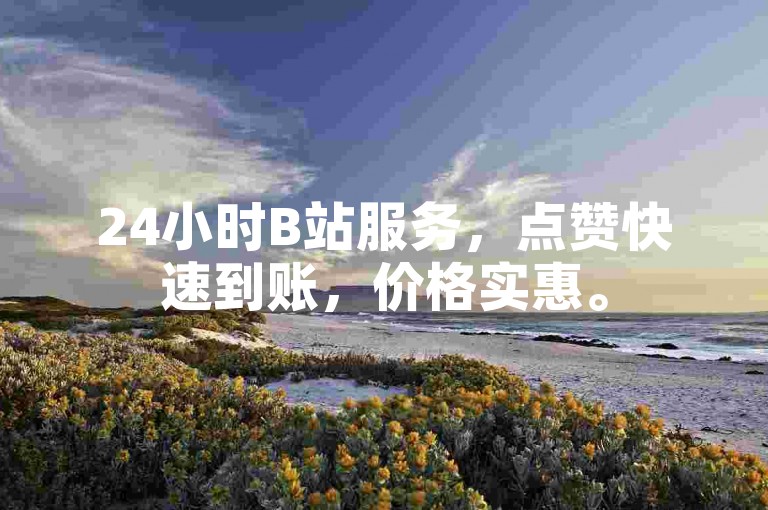 24小时B站服务，点赞快速到账，价格实惠。
