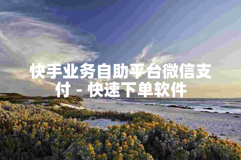快手业务自助平台微信支付 - 快速下单软件