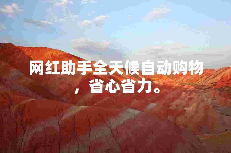 网红助手全天候自动购物，省心省力。