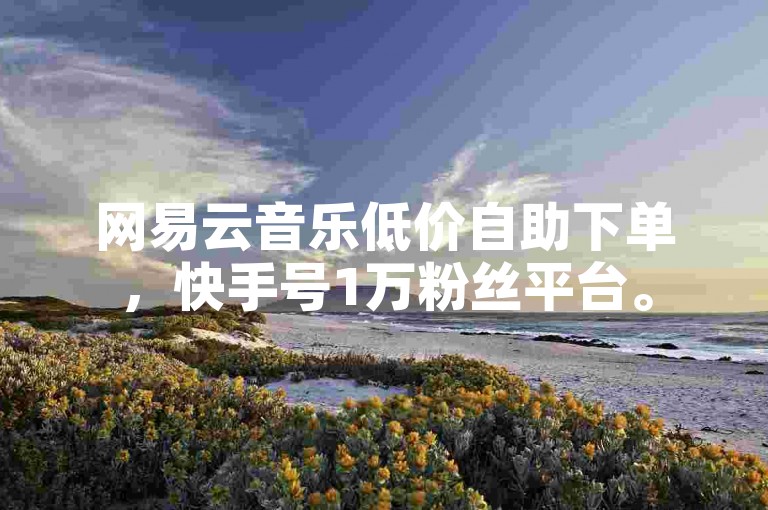 网易云音乐低价自助下单，快手号1万粉丝平台。