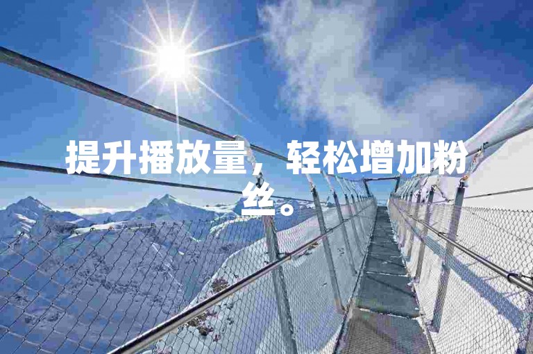 提升播放量，轻松增加粉丝。