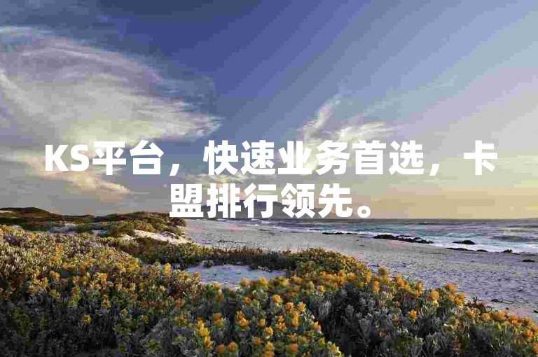 KS平台，快速业务首选，卡盟排行领先。