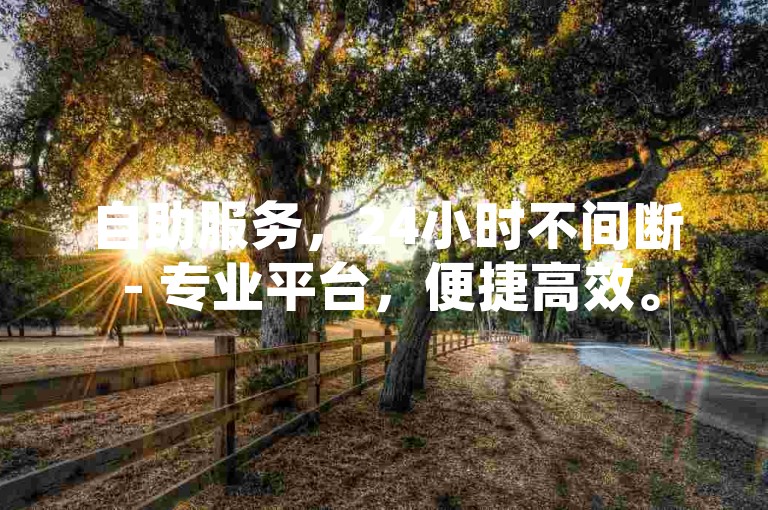 自助服务，24小时不间断 - 专业平台，便捷高效。