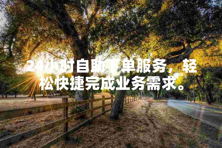 24小时自助下单服务，轻松快捷完成业务需求。