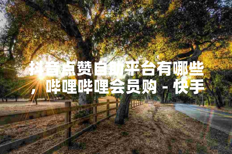 抖音点赞自助平台有哪些，哔哩哔哩会员购 - 快手流量推广网站 - 卡盟24小时平台入口。