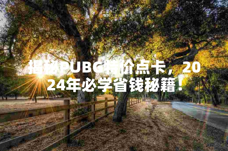 揭秘PUBG特价点卡，2024年必学省钱秘籍！