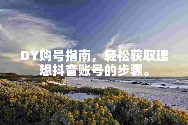 DY购号指南，轻松获取理想抖音账号的步骤。