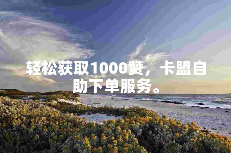 轻松获取1000赞，卡盟自助下单服务。