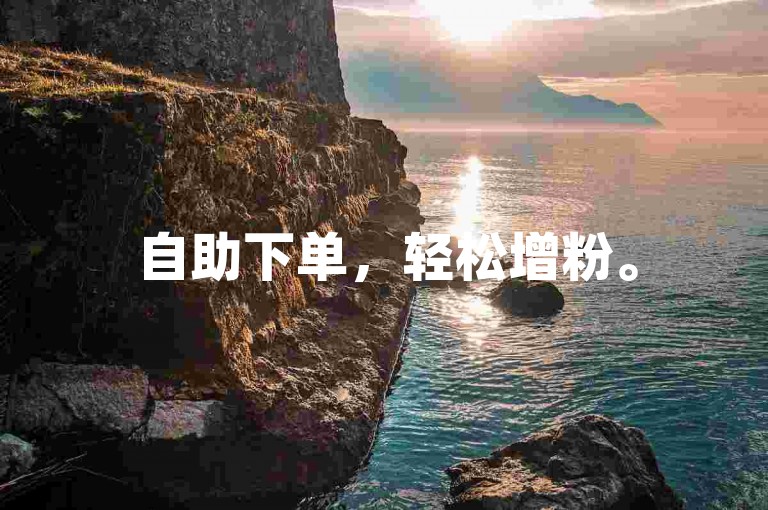 自助下单，轻松增粉。