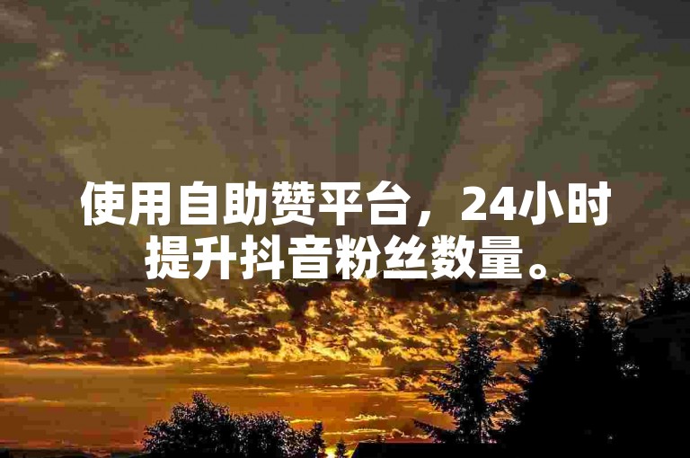 使用自助赞平台，24小时提升抖音粉丝数量。