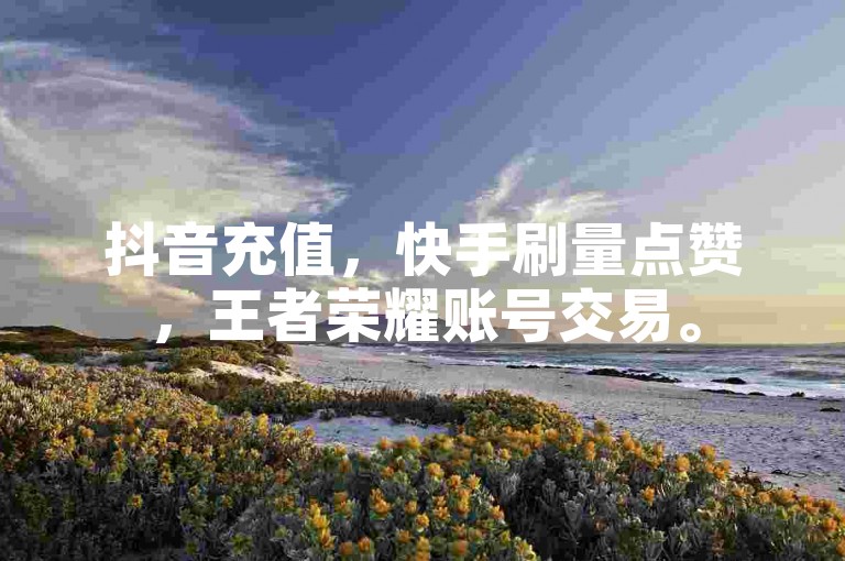 抖音充值，快手刷量点赞，王者荣耀账号交易。
