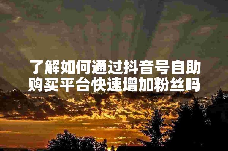 了解如何通过抖音号自助购买平台快速增加粉丝吗？