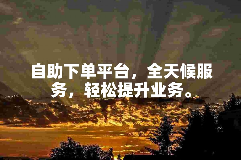 自助下单平台，全天候服务，轻松提升业务。