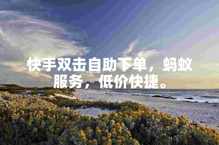 快手双击自助下单，蚂蚁服务，低价快捷。