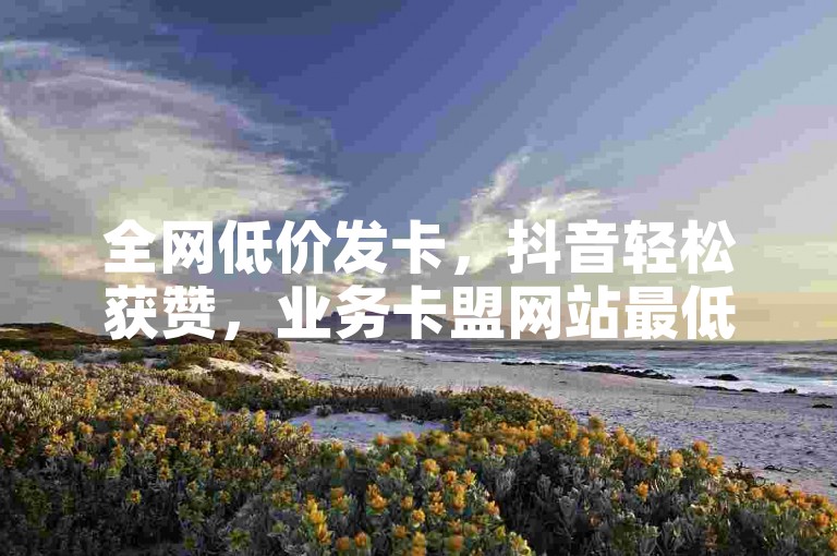 全网低价发卡，抖音轻松获赞，业务卡盟网站最低价大揭秘！