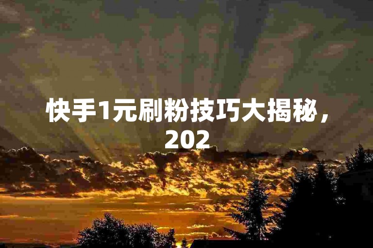 快手1元刷粉技巧大揭秘，2025年必备！