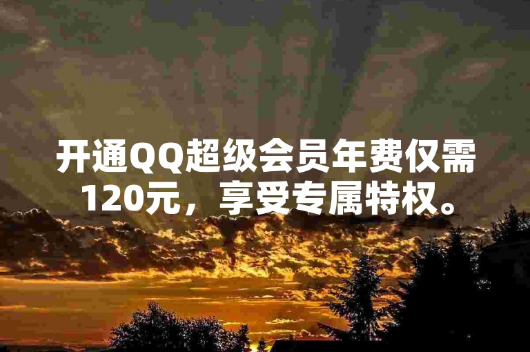 开通QQ超级会员年费仅需120元，享受专属特权。