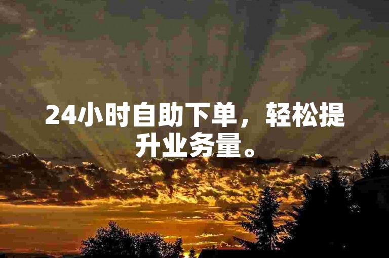 24小时自助下单，轻松提升业务量。