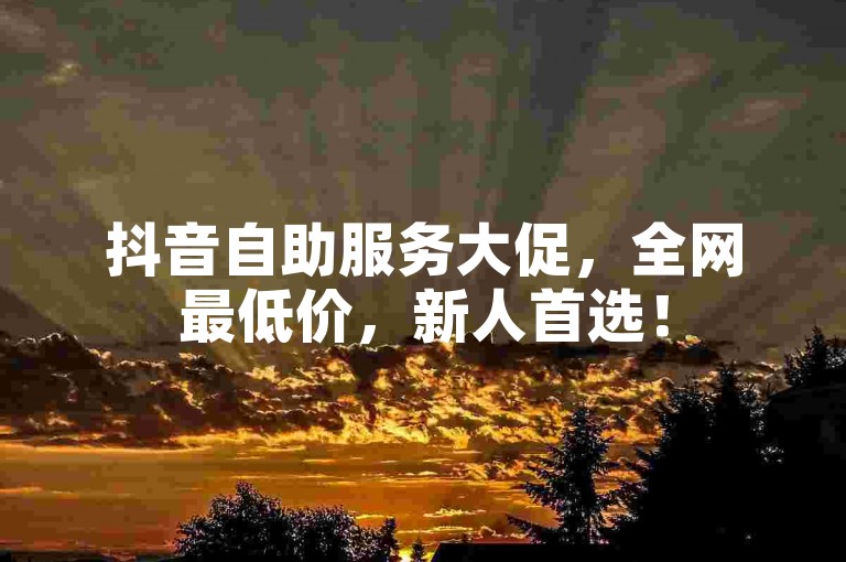 抖音自助服务大促，全网最低价，新人首选！